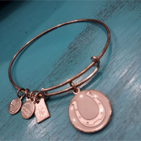 RHTF Alex and Ani Horseshoe Charm Bracelet adjustable Bangle - Picture 1 of 5